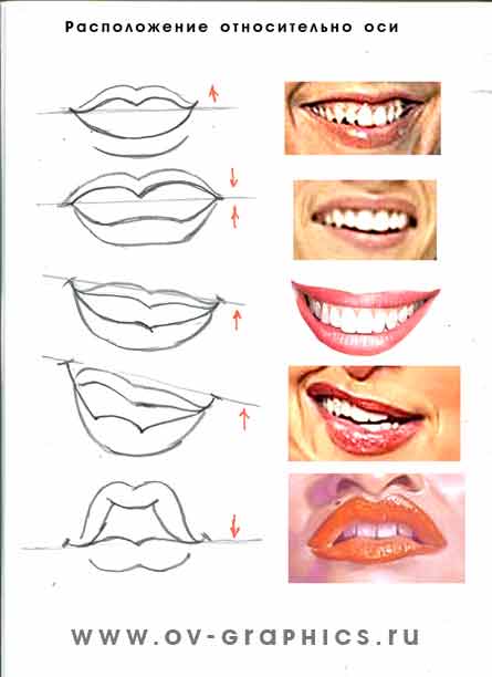 Как правильно шаржировать рот